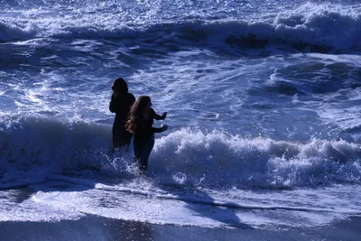 DSC_0475 (Large).JPG